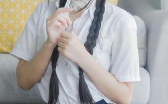 圣诞节遇上不呆猫，高清照片捕捉每一瞬间