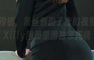 丽柜 – 没错，黑丝刺激了我的视觉神经：Xilly图册原图独家揭晓